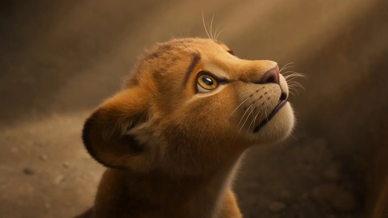 The cub's face turned up to the morning light