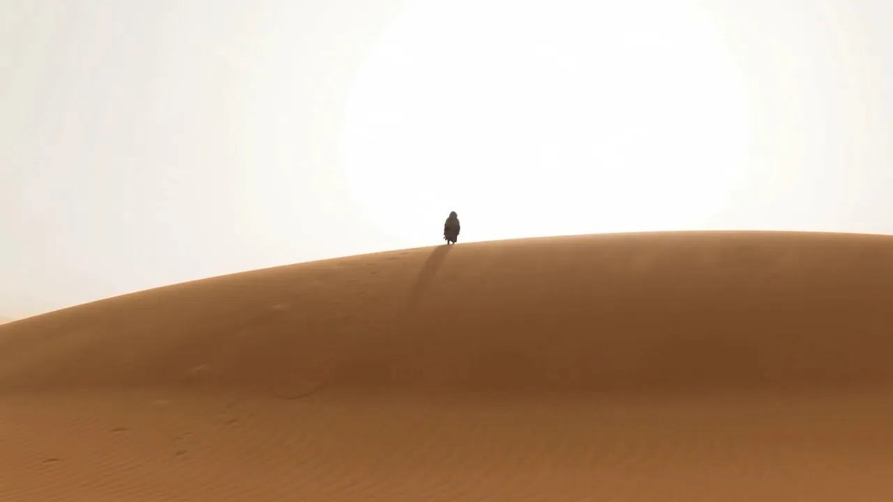 The desert does not care who raised you
