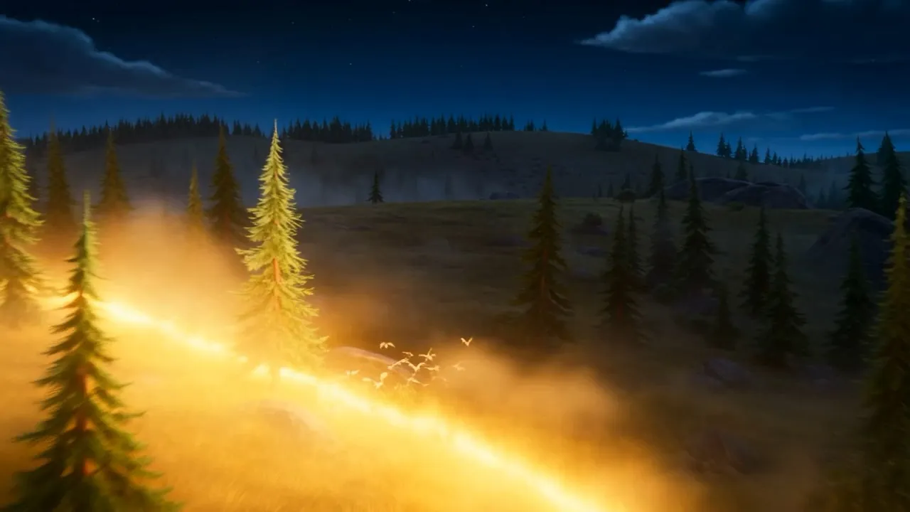 Dawn taking hold of a forest