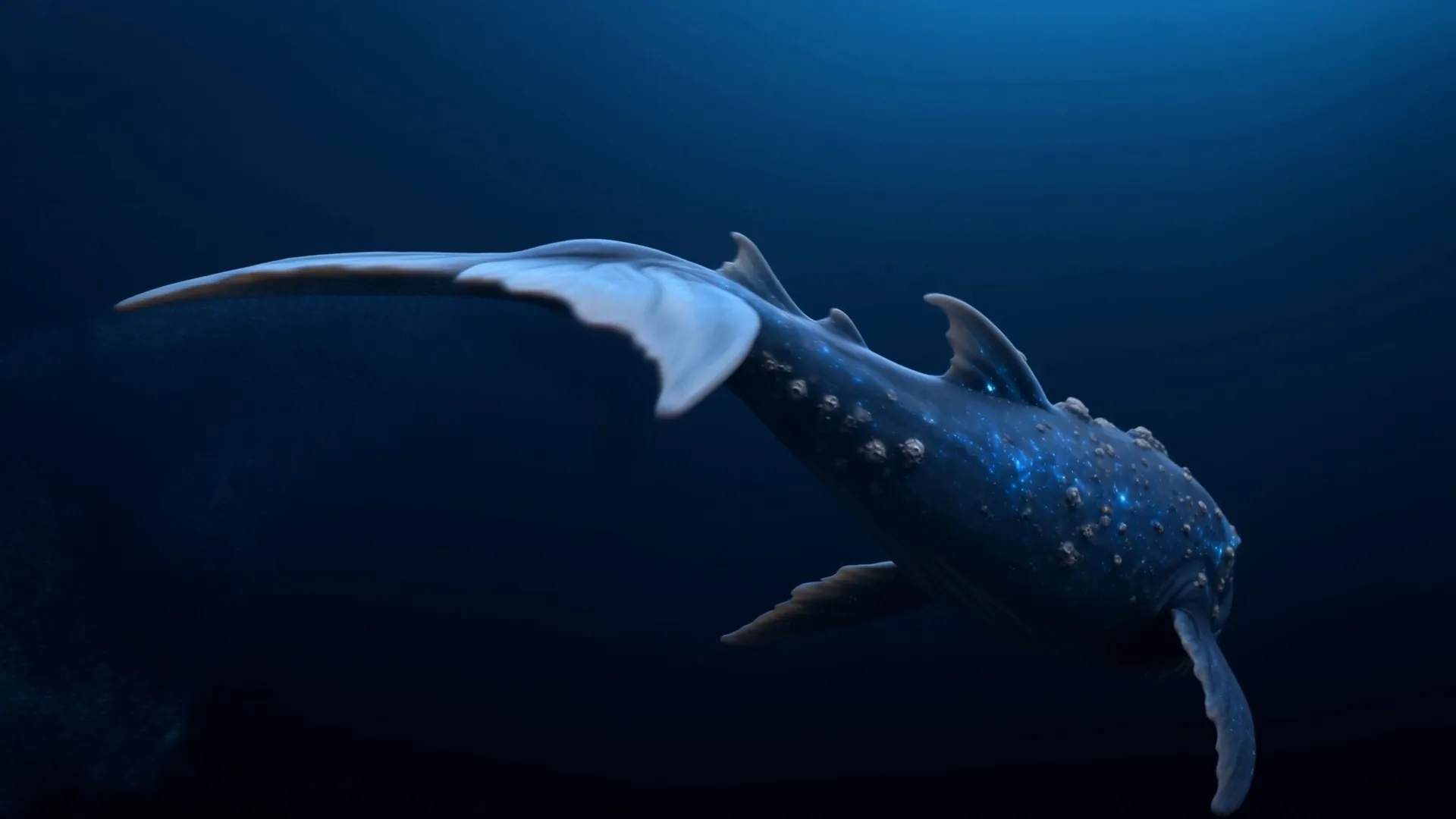 It glides through the glowing dark