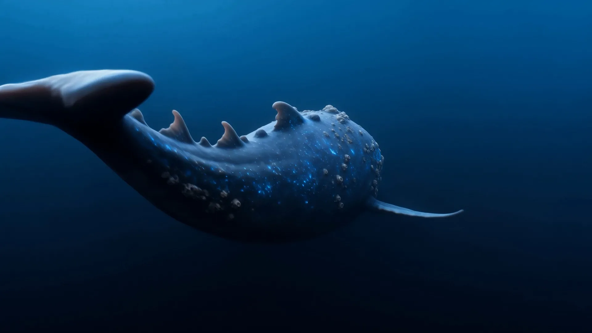 The great fish dives away with its passenger