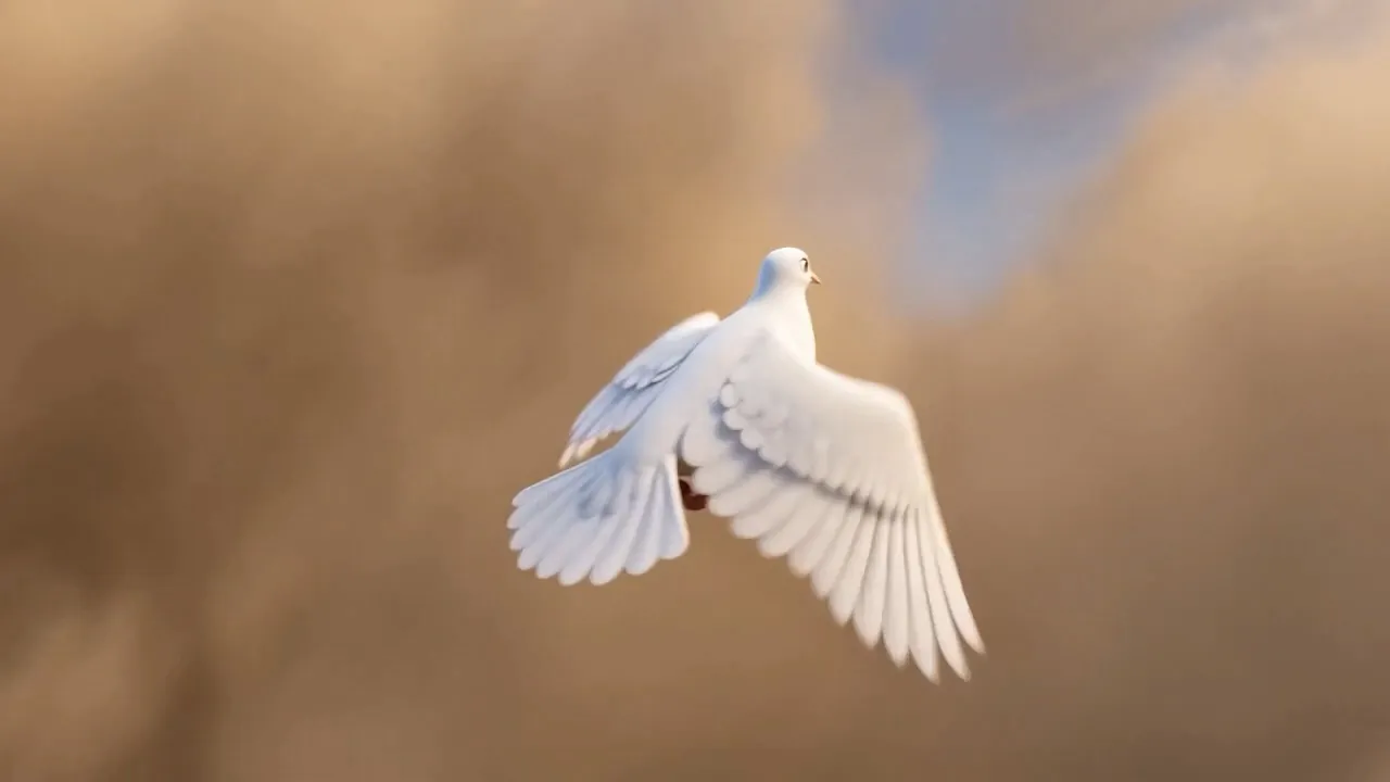 A white dove climbs out of the dust cloud