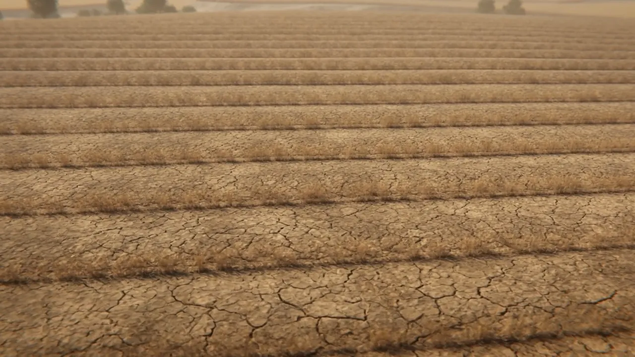 Nothing but cracked earth where the harvest was