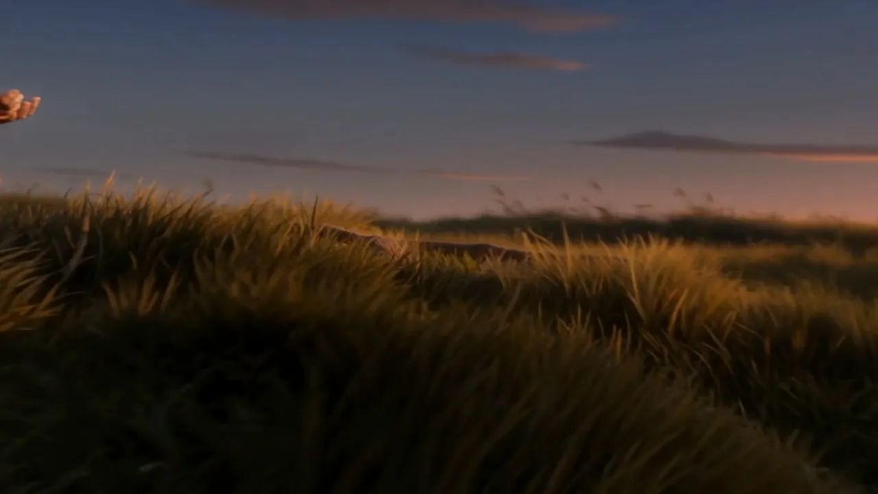 Light climbs the headland grass, blade by blade
