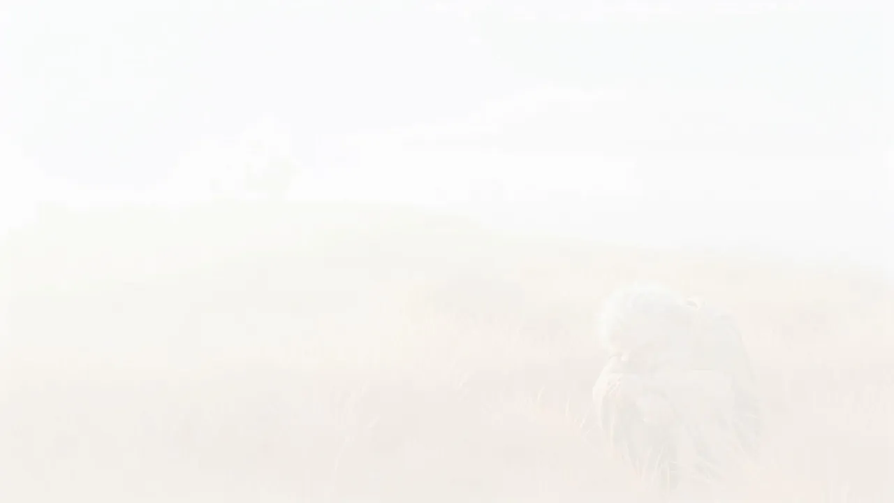 Out of the white, back to now — the fallen man, the burning arc