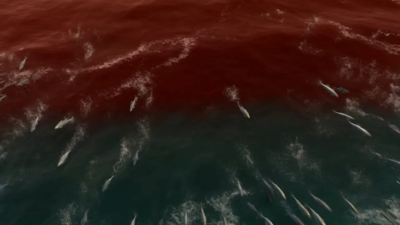 And the silver shoals stream away from the red like sparks fleeing a draft